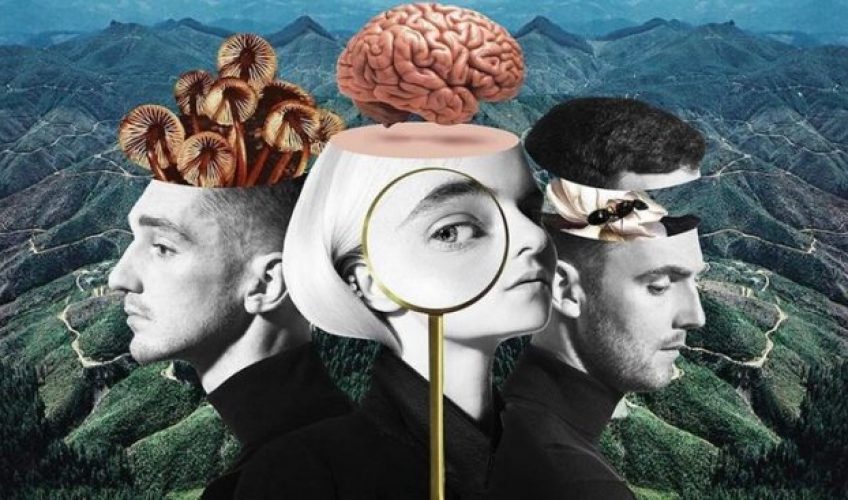 Η βιομηχανία hit singles που ακούει στο όνομα Clean Bandit κυκλοφόρησε το album What is Love, το οποίο περιέχει τα μεγάλα hit singles των τελευταίων 2 ετών.