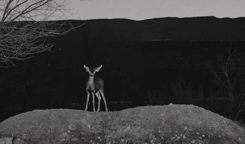 Μετά τις τεράστιες No1 επιτυχίες στα “One Kiss” με την Dua Lipa και “Promises” με τον Sam Smith, ο ασταμάτητος Calvin Harris κυκλοφορεί ένα ακόμα hit-single με τίτλο Giant.